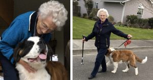 Widow Befriends Neighbor's Puppy And The Two Are Inseparable _ everything inspirational